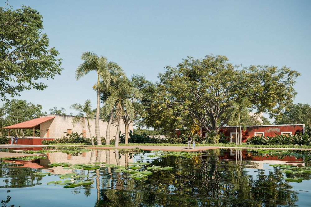 Terrenos a la venta en Dzemul, Yucatán
