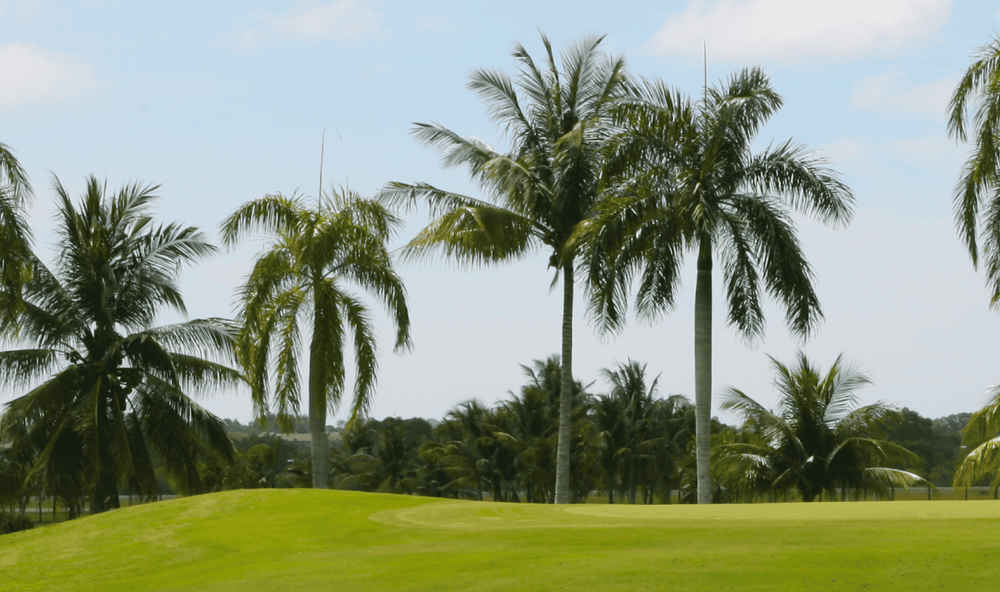 Terrenos a la venta en Hunucmá, Yucatán