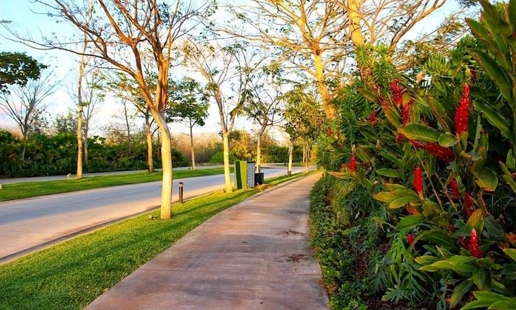 Terrenos a la venta en Cabo Norte, Mérida, Yucatán